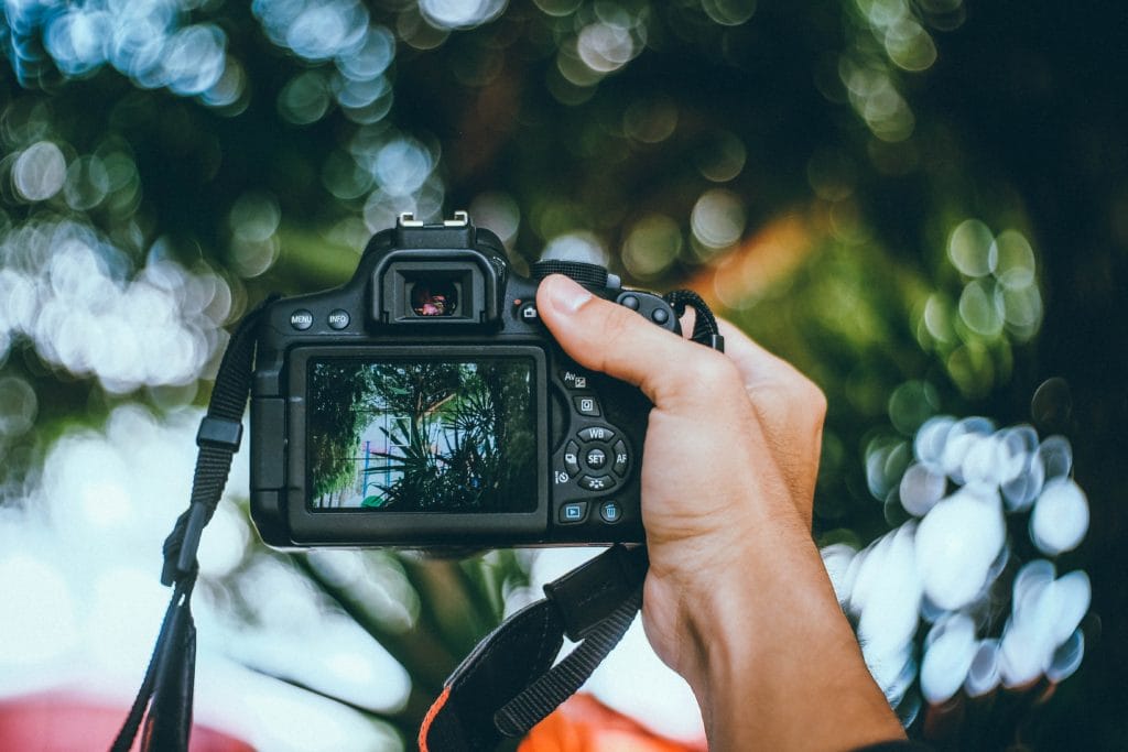 image of a hand holding a camera with an out of focus background with sky and trees in bokeh