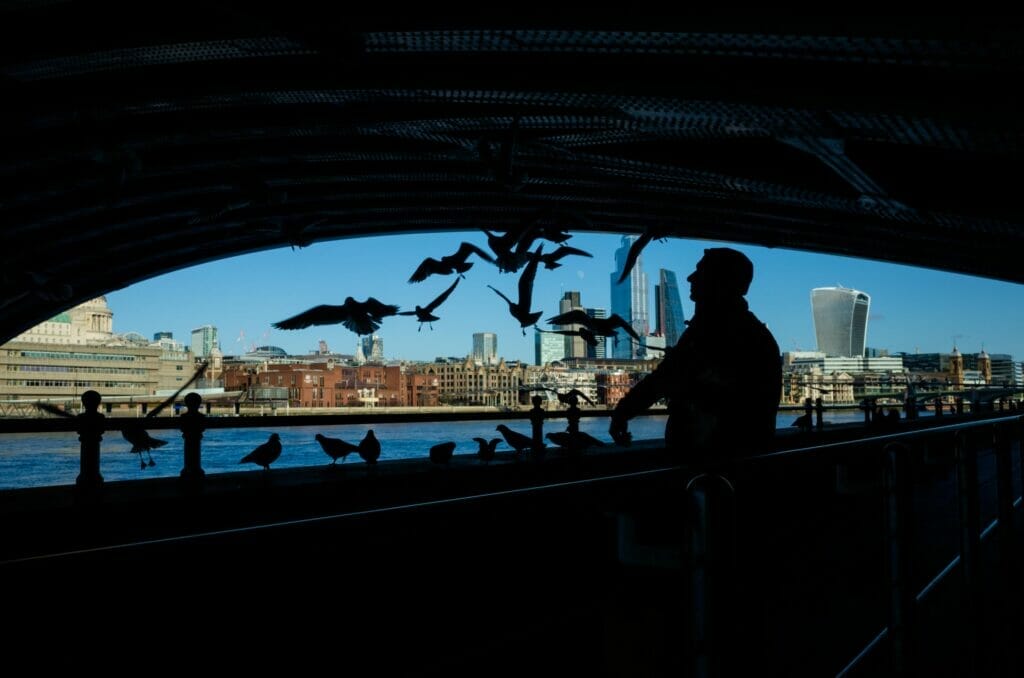 A man with many birds flying around under a bridge next to a river.